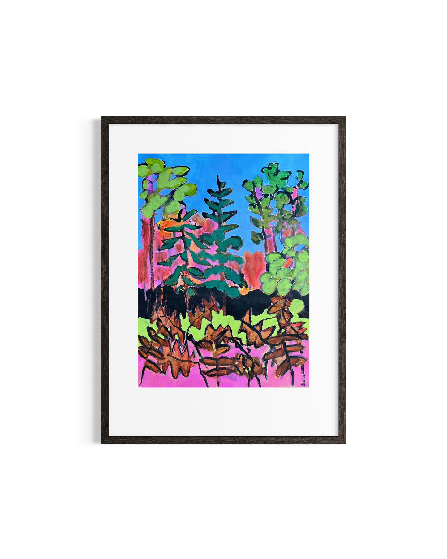 Meeting the Ferns