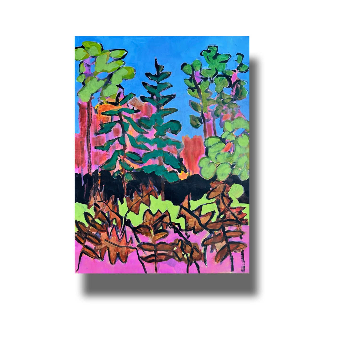 Meeting the Ferns
